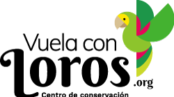 Vuela con loros