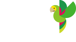 Vuela con loros